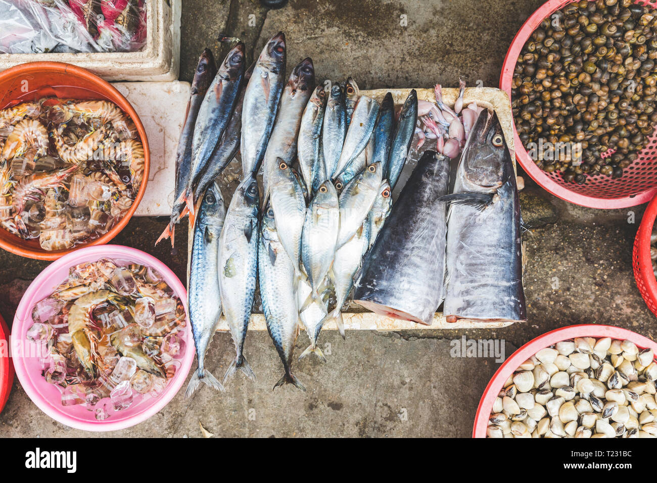 Il Vietnam, Hanoi, pesce e frutti di mare in vendita al mercato locale nella città vecchia Foto Stock