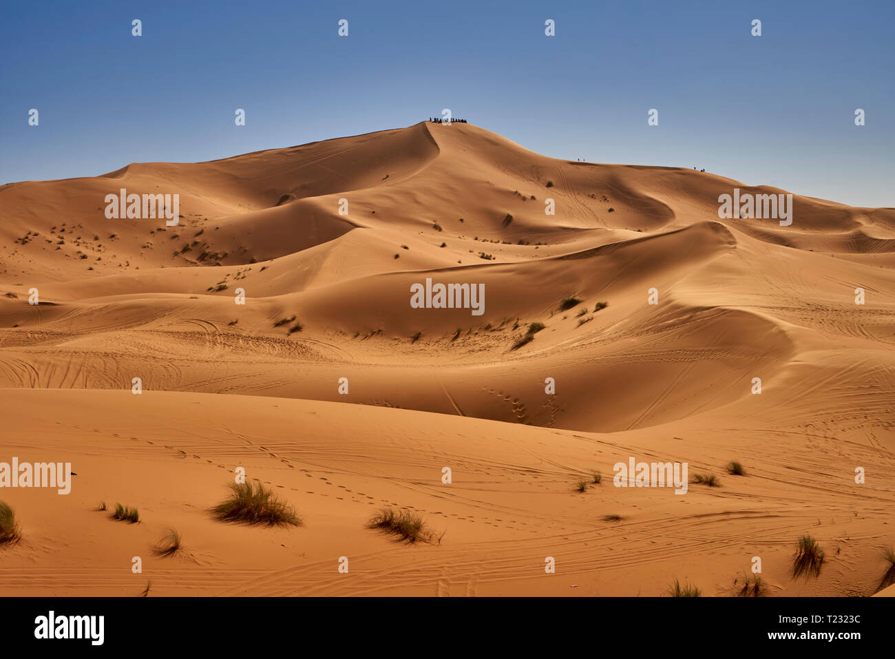 Il Marocco, dune del deserto Foto Stock