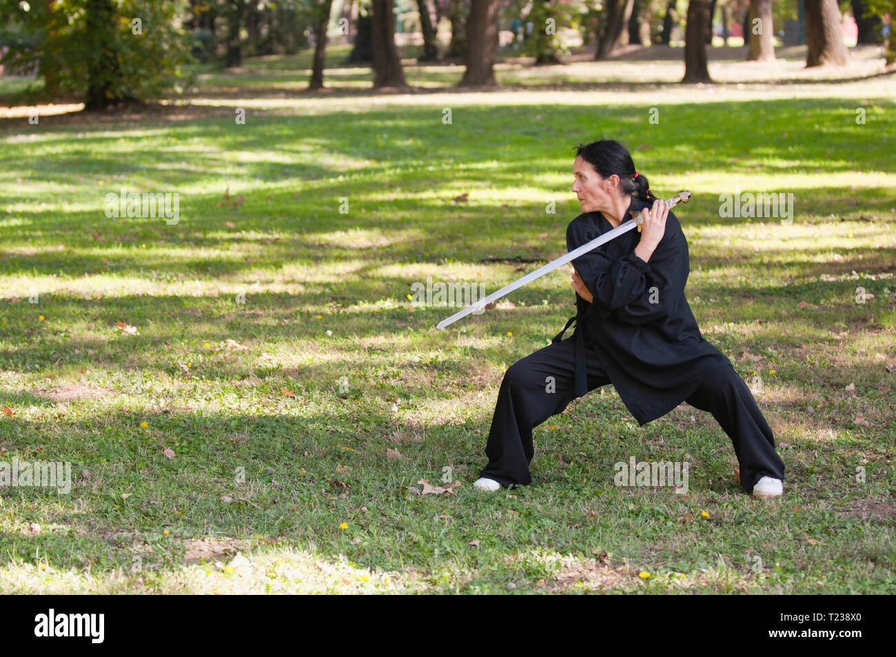 Arti marziali sword master praticanti in natura. Foto Stock