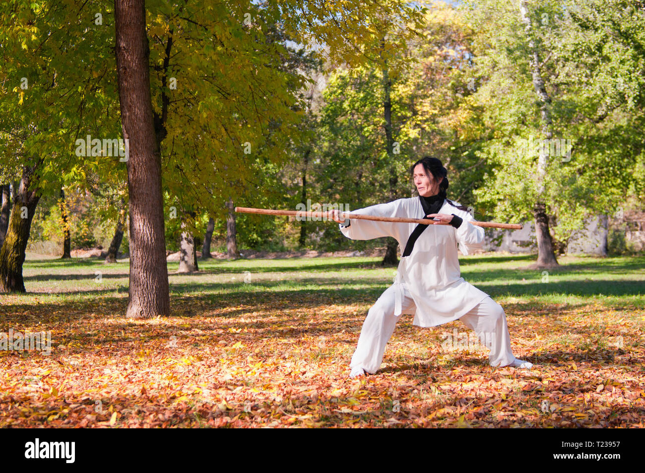 Arti marziali in i combattimenti kung fu presa di posizione. Foto Stock