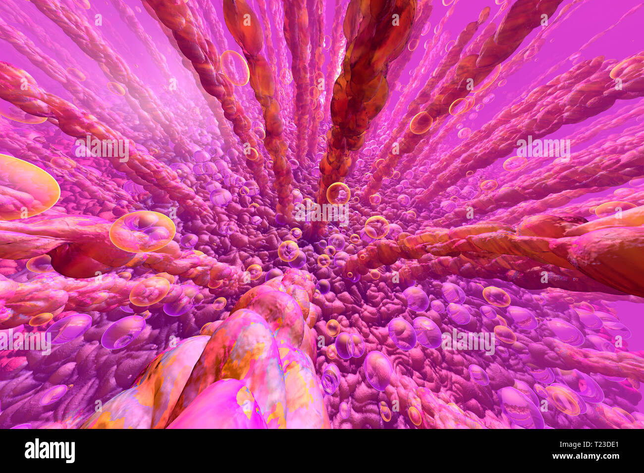 3D'illustrazione, umana dei villi intestinali e il metabolismo Foto Stock 3D'illustrazione, umana dei villi intestinali e il metabolismo Foto Stock