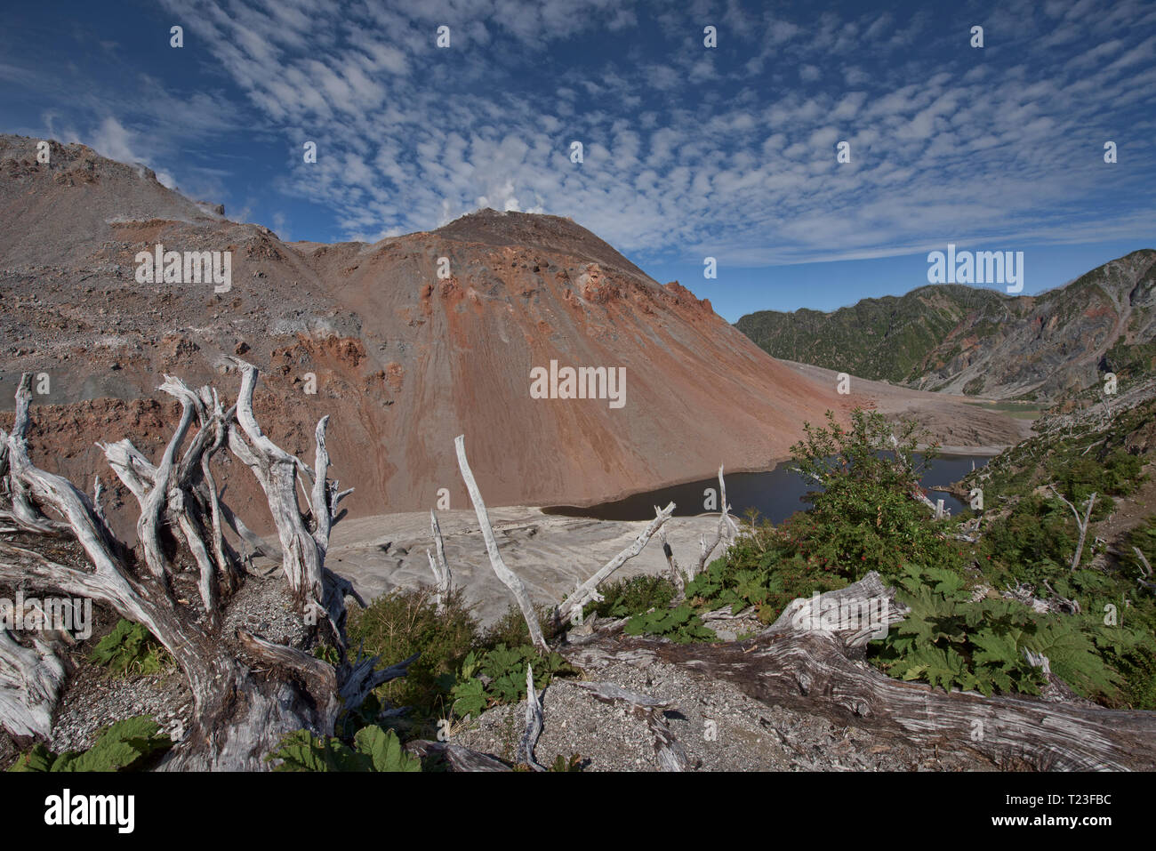 Vista della caldera e scenario del vulcano Chaitén, Pumalin National Park, Patagonia, Chaitén, Cile Foto Stock
