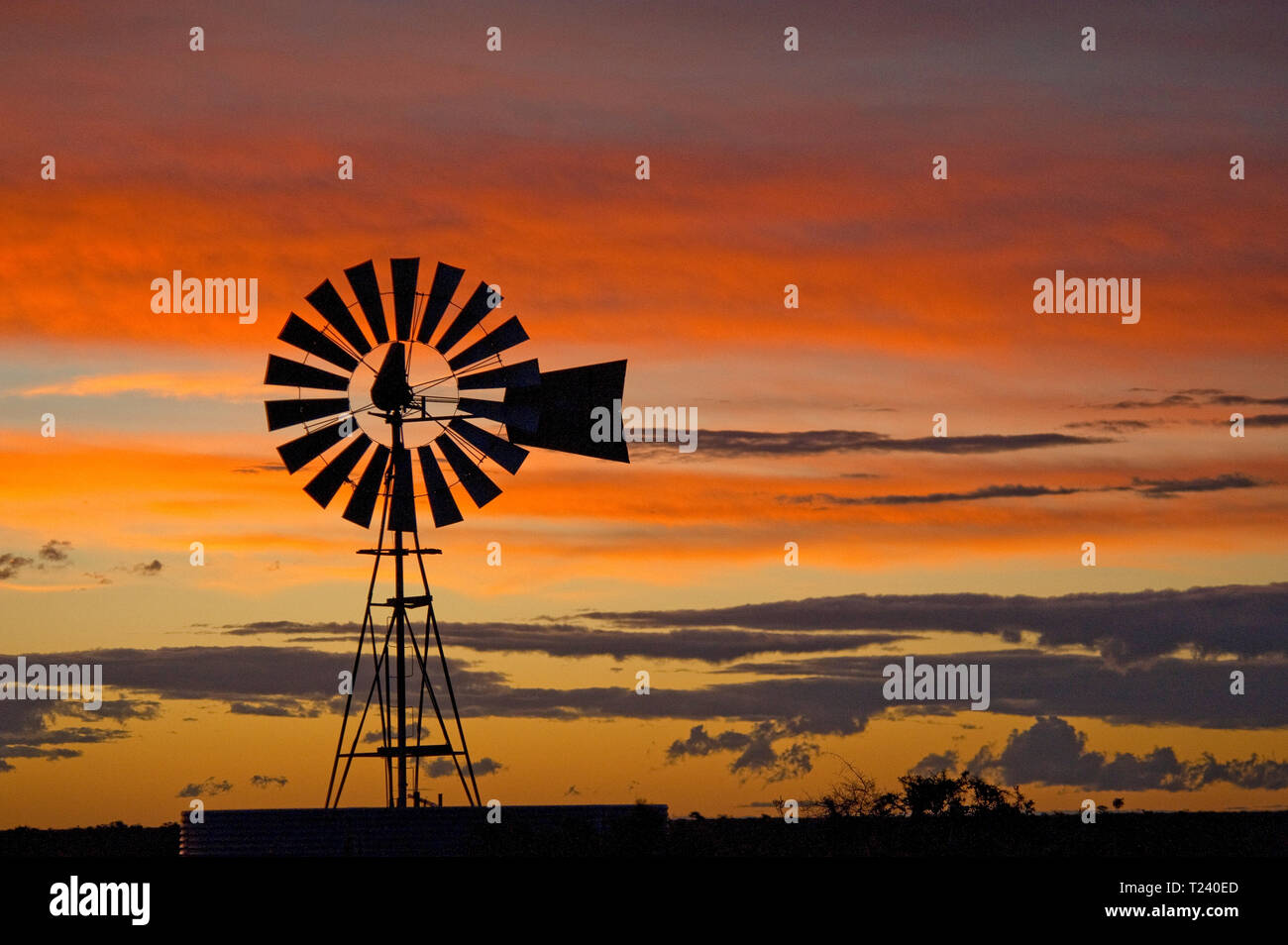 Il vento ruota, silhouette al tramonto, Penisola di Valdes, Riserva Naturale, Patagonia, Argentina Foto Stock