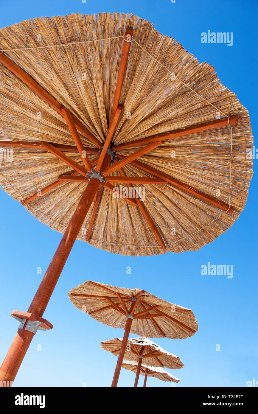 Croazia, Dalmazia, Primosten, ombrelloni da spiaggia Foto Stock