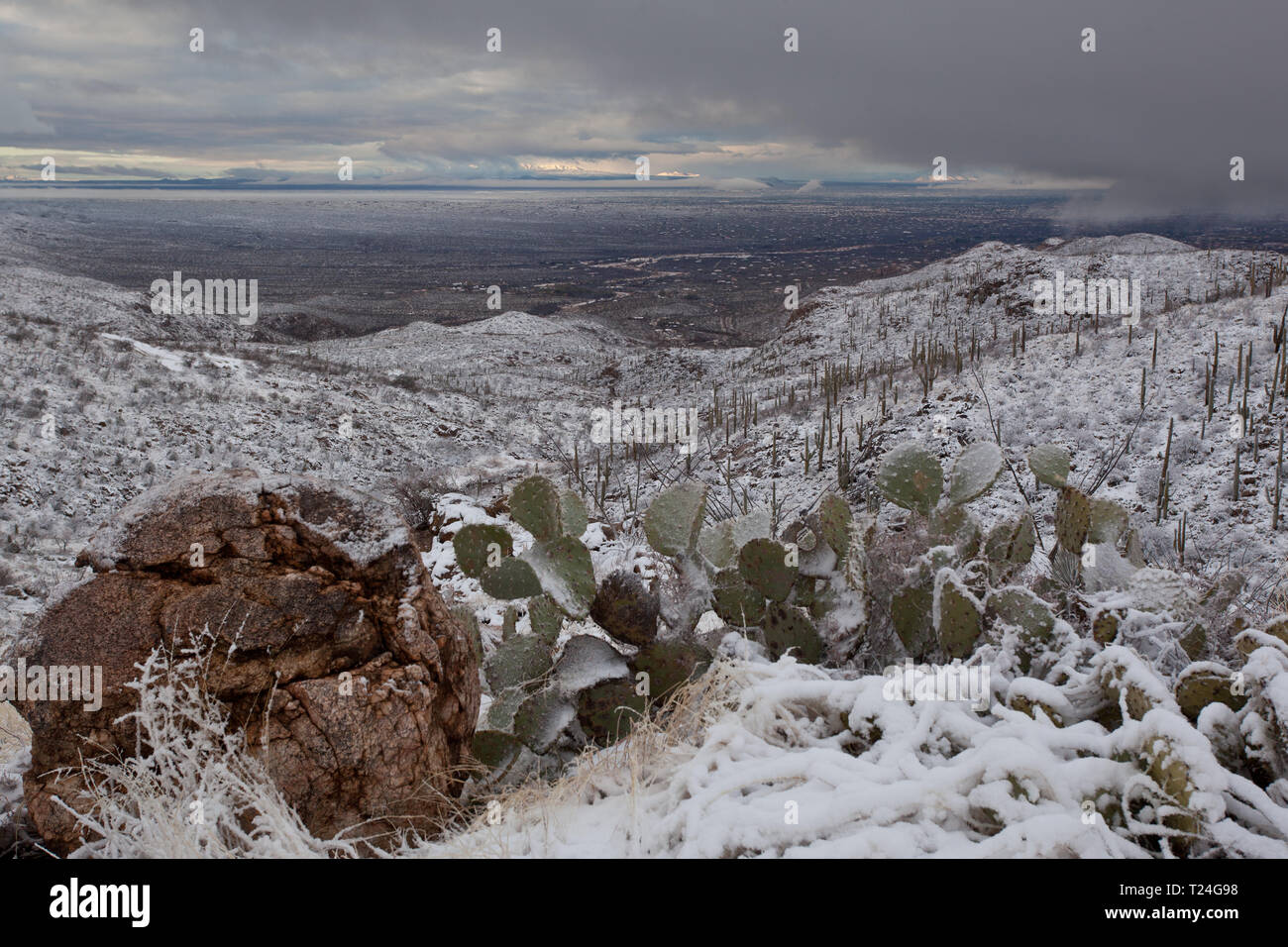 Pass Redington Pima County, Arizona, Stati Uniti d'America Foto Stock