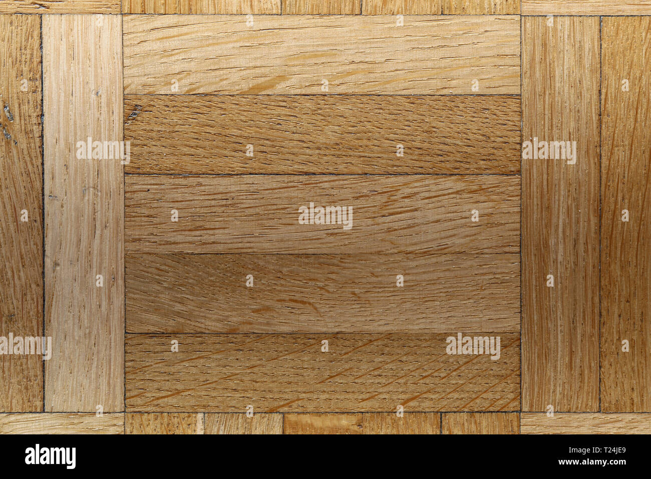 Closeup texture di un marrone con pavimento in legno. Dettagli della bella e vivace fino a colori di terra. N. persone. Immagine a colori con obiettivo macro. Foto Stock