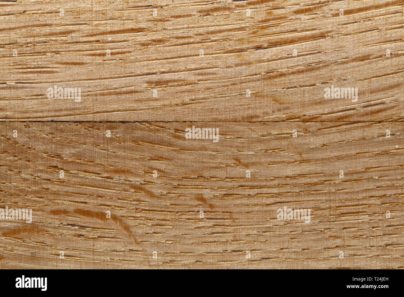 Closeup texture di un marrone con pavimento in legno. Dettagli della bella e vivace fino a colori di terra. N. persone. Immagine a colori con obiettivo macro. Foto Stock