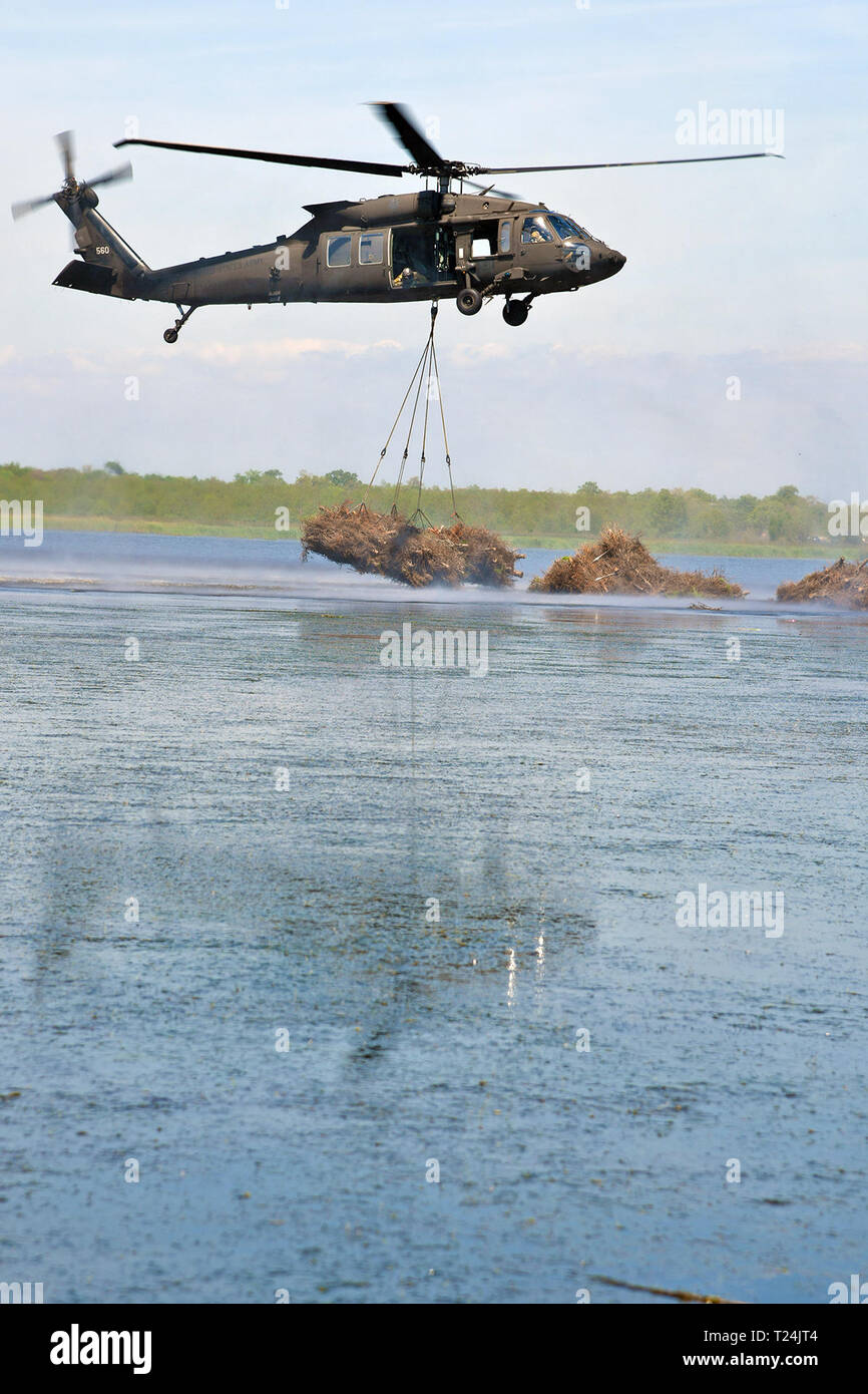 Un Louisiana National Guard UH-60 Blackhawk scende un carico di riutilizzato alberi di Natale per aiutare a lenta erosione costiera in Bayou Sauvage in New Orleans, 28 marzo 2019. (U.S. Esercito nazionale Guard photo by Staff Sgt. Garrett L. Dipuma) Foto Stock