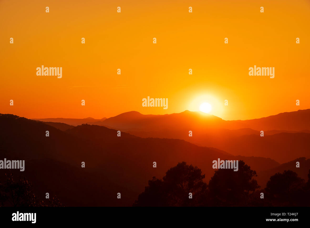 Spagna, Andalusia Parque Natural Montes de Málaga, Casabermeja-Colmenar, al tramonto Foto Stock