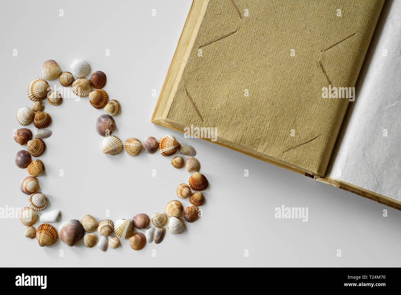 Carino il cuore di forma composta da conchiglie raccolte in spiaggia e lo spazio vuoto nella pagina di album fotografico per ricordi estivi. Foto Stock