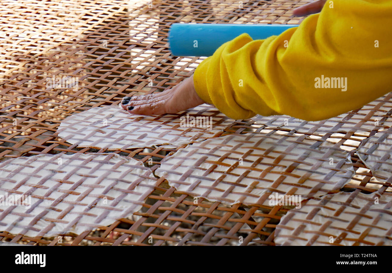Battambang, Cambogia, traslucido con carta di riso fogli adagiati su un rattan e bambù telaio a traliccio pronto per l'essiccazione al sole. 10-12-2018 Foto Stock