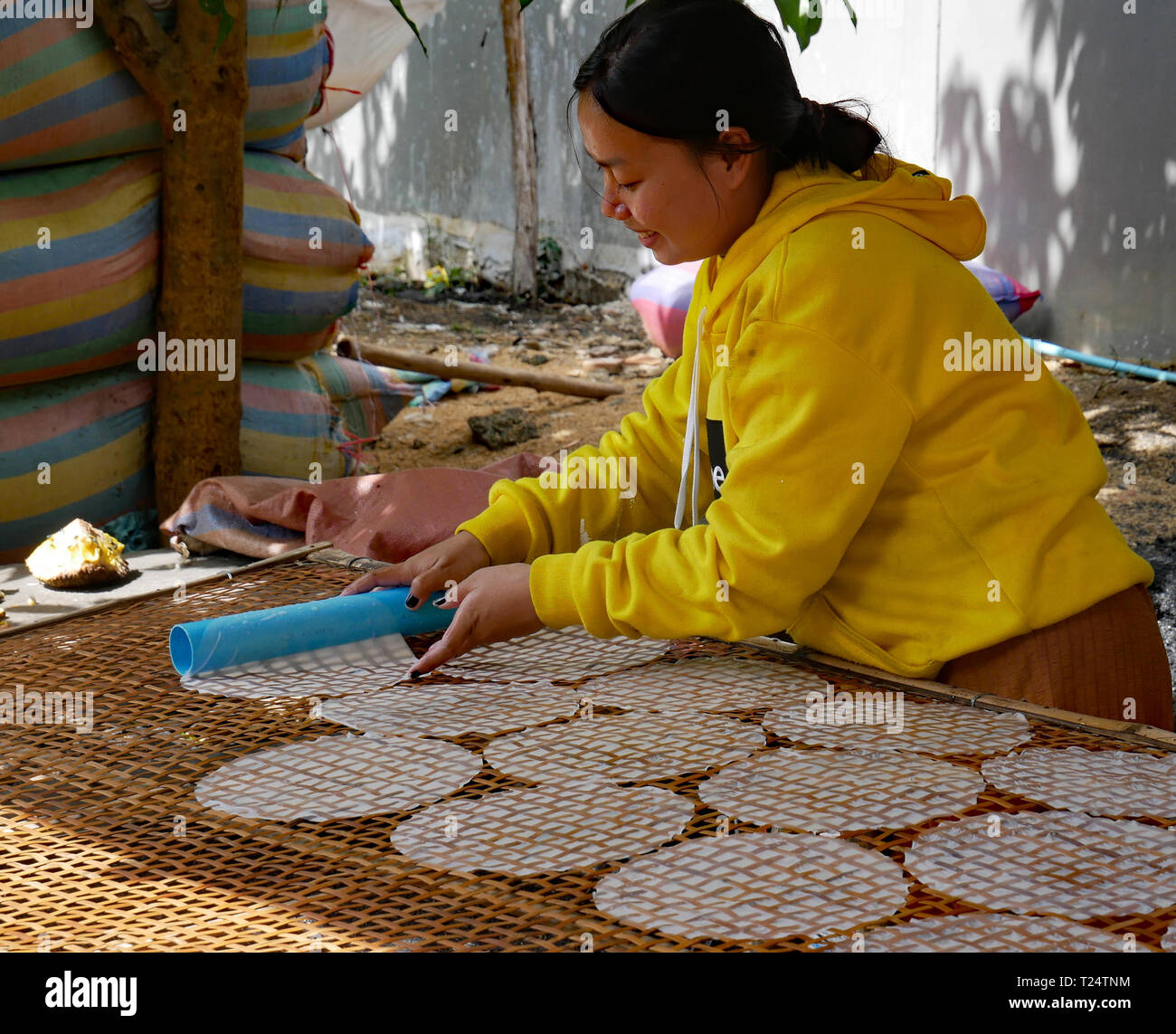 Battambang, Cambogia. Traslucida carta di riso fogli, adagiate su un rattan e bambù telaio a traliccio pronto per l'essiccazione al sole. 10-12-2018 Foto Stock