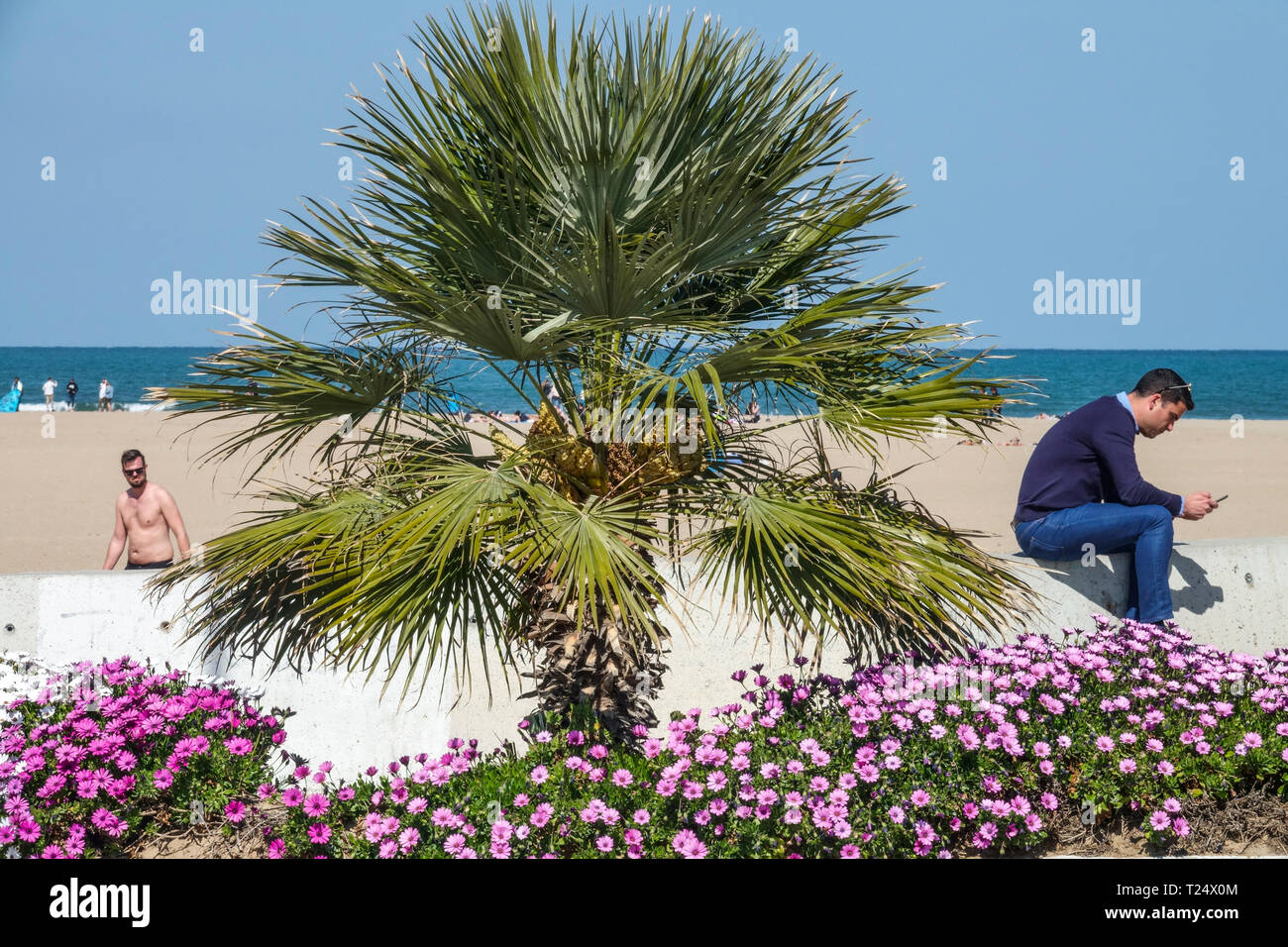 Un uomo con un telefono, palme e fiori, Valencia spiaggia Malvarrosa Valencia spiaggia, Spagna vista mare Foto Stock
