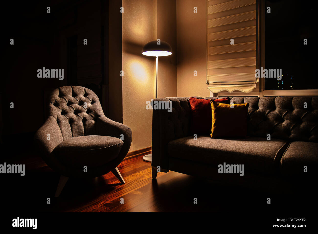 Cupa stanza vivente con l'atmosfera di illuminazione e accessori zebra Foto  stock - Alamy