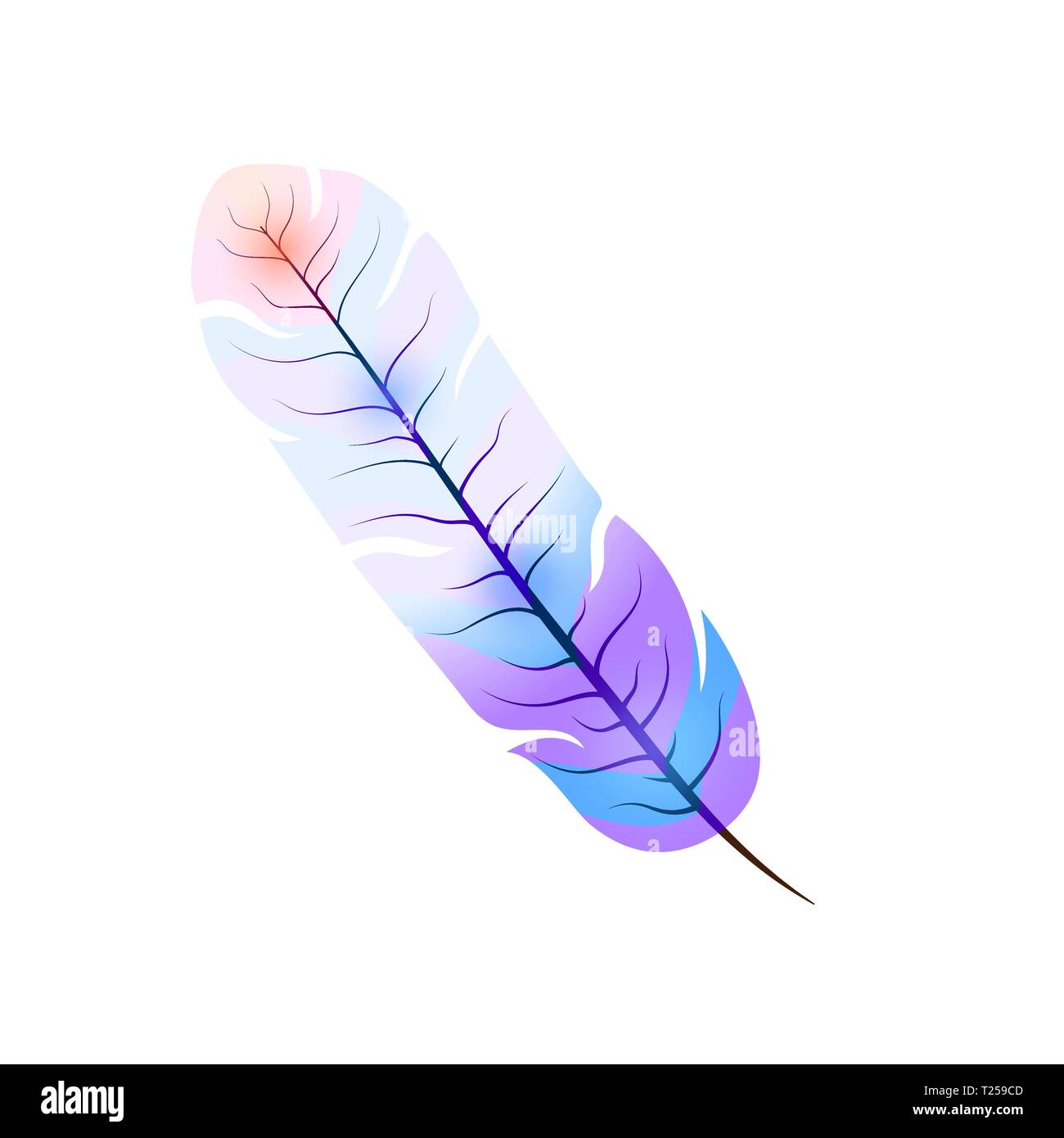 Luminose esotiche di piume colorate su bianco Illustrazione Vettoriale