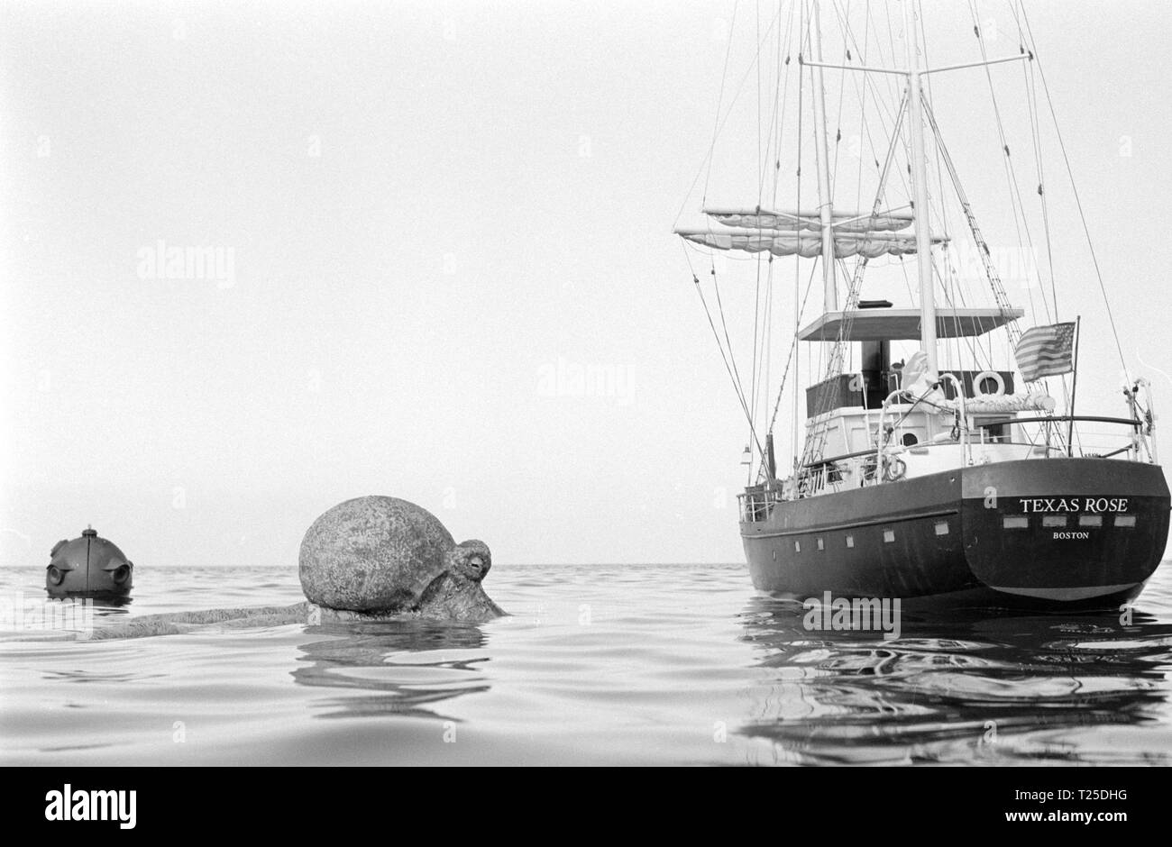 I signori della guerra di Atlantide (1978) Data: 1978 Foto Stock