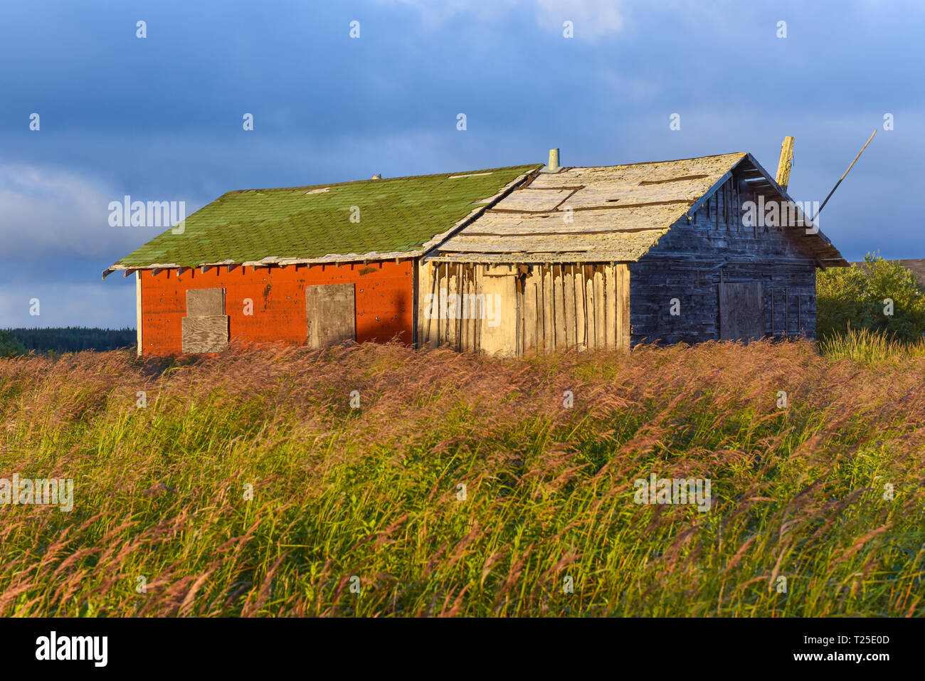 Fort George Island, territorio nativo, la Baia di Hudson, Northern Quebec, Canada Foto Stock