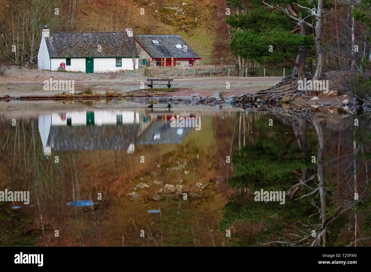 Loch un Eilein e Visitor Center su una tranquilla mattina di primavera con la riflessione sul loch sul Rothiemurchus Estate, Aviemore, Scozia Foto Stock