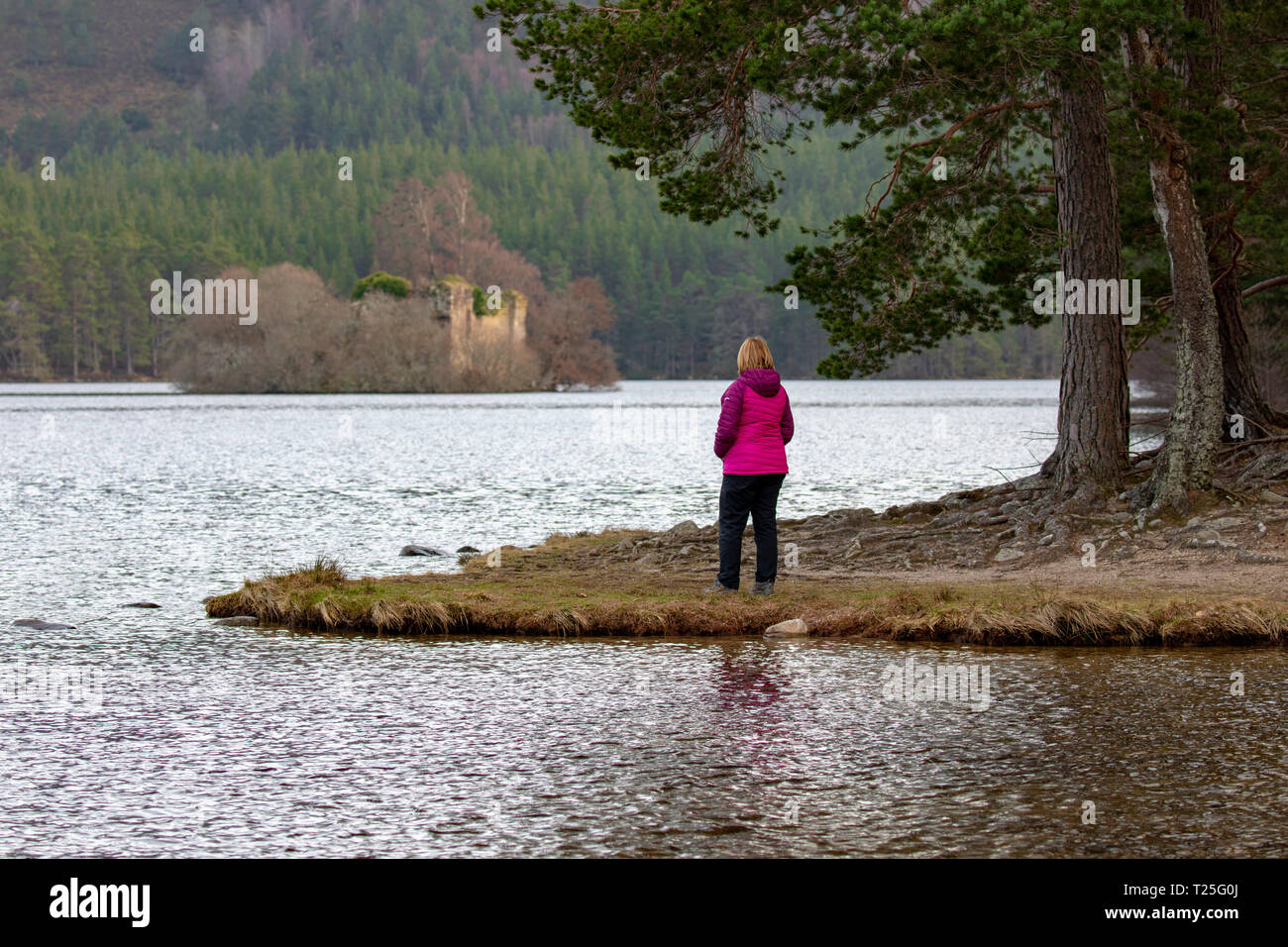 Una femmina di walker tenendo nella vista sulle sponde del Loch un Eilein sul Rothiemurchus Station Wagon e foresta, Aviemore, Scozia Foto Stock