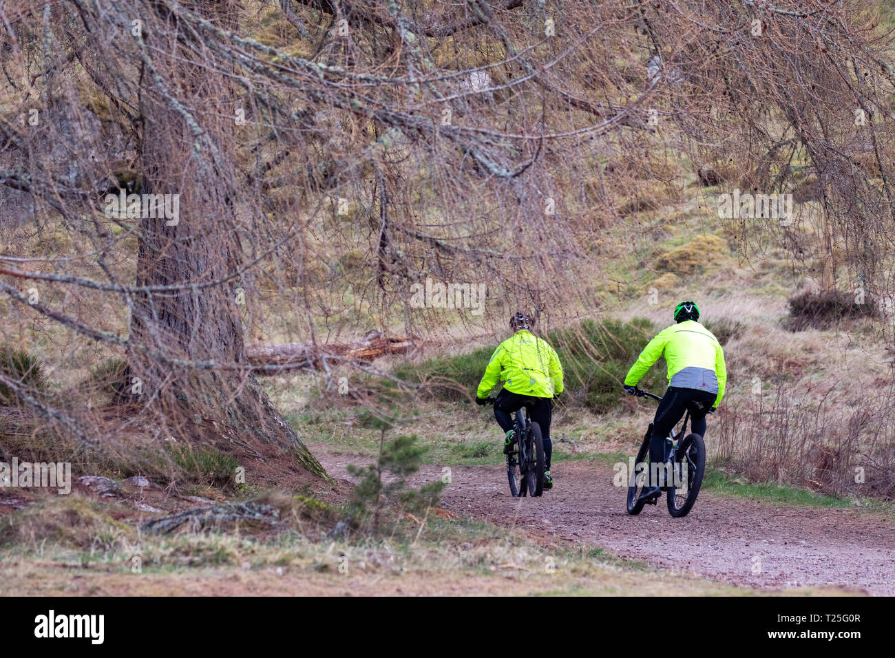 Ciclisti in mountain bike intorno al percorso circolare intorno a Loch An Eilein, Aviemore, Scozia durante l'inverno Foto Stock