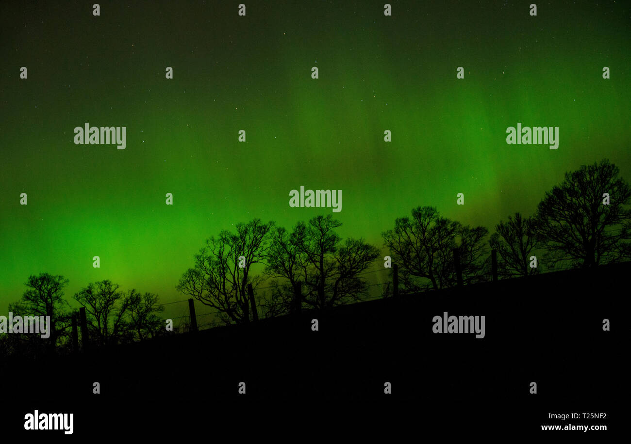 Northern Lights, Scozia, Regno Unito Foto Stock