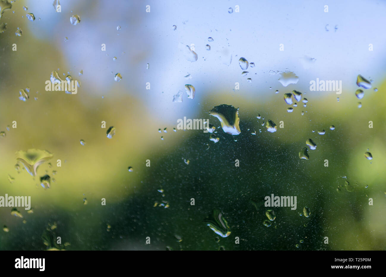 Vista del giardino verde dietro un vetro bagnato dalla pioggia Foto Stock