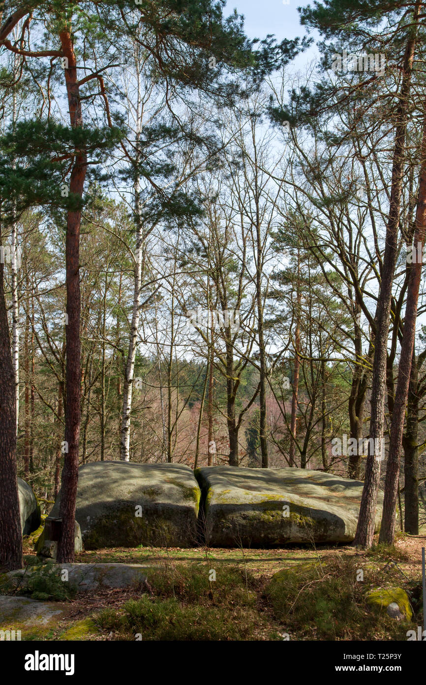 Steinformationen - Blockheide, Waldviertel, Austria - 30.03.2019 Foto Stock