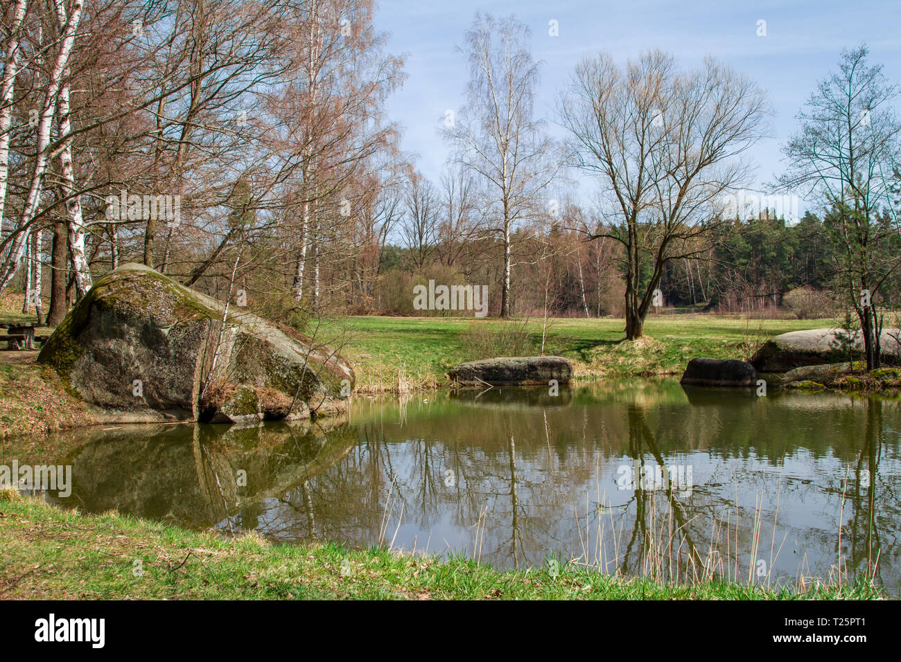 Lago - Blockheide, Waldviertel, Austria - 30.03.2019 Foto Stock