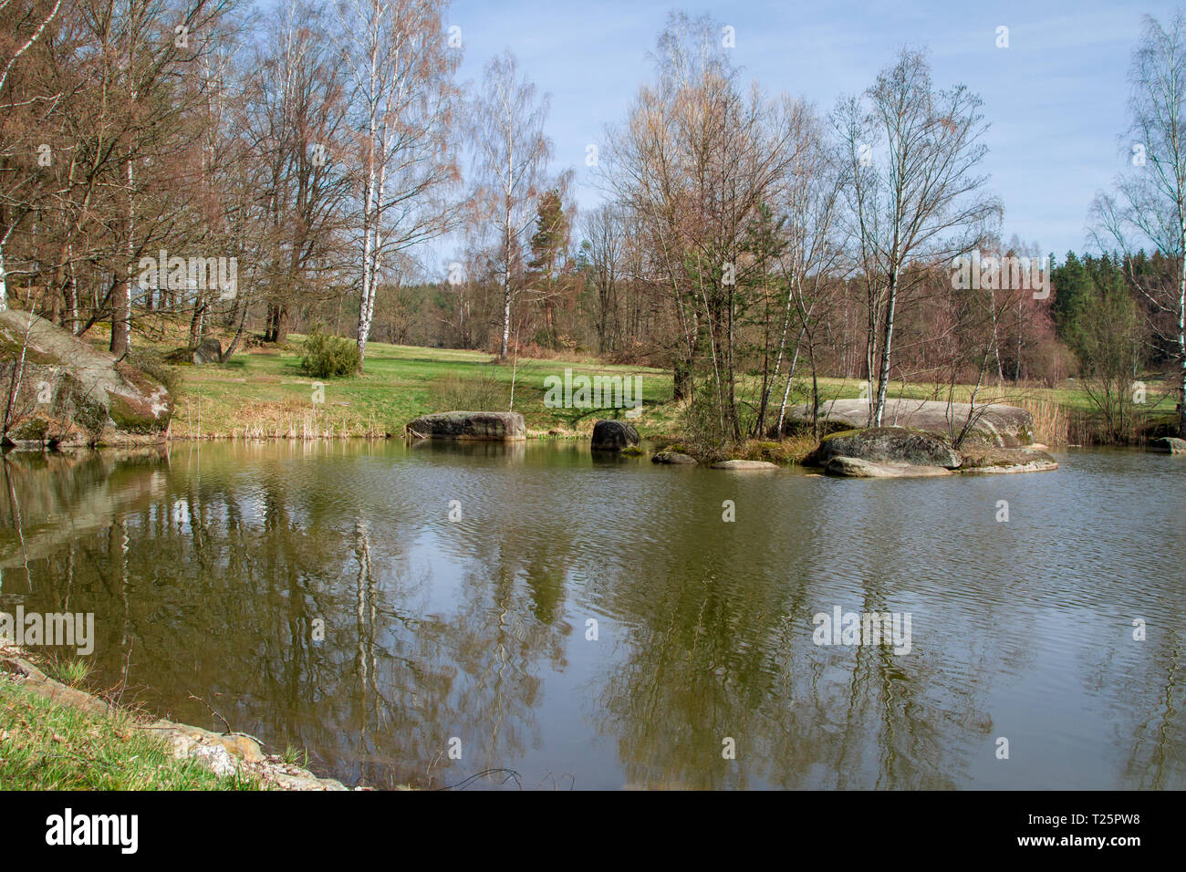 Lago - Blockheide, Waldviertel, Austria - 30.03.2019 Foto Stock