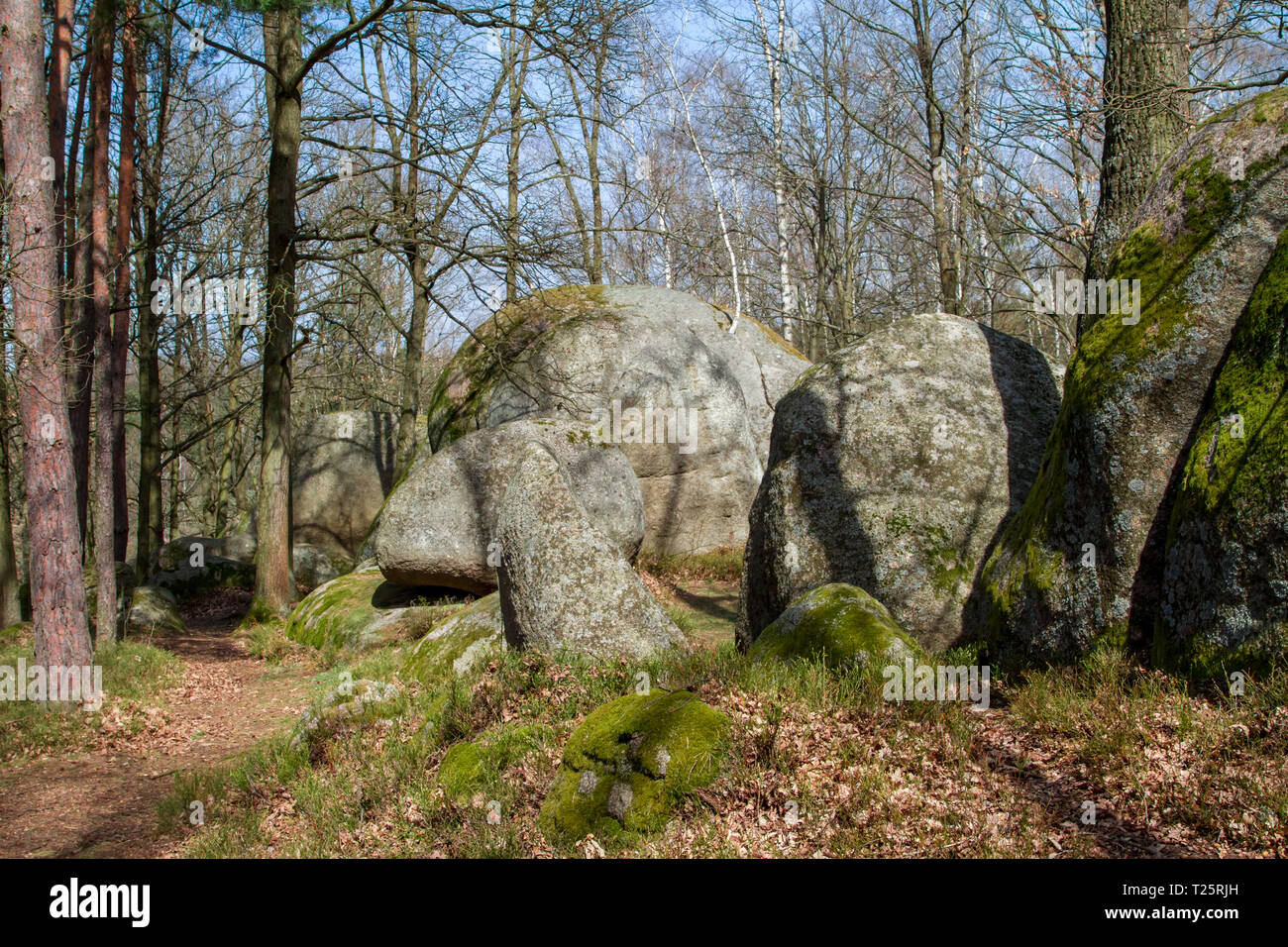 Steinformationen - Blockheide, Waldviertel, Austria - 30.03.2019 Foto Stock