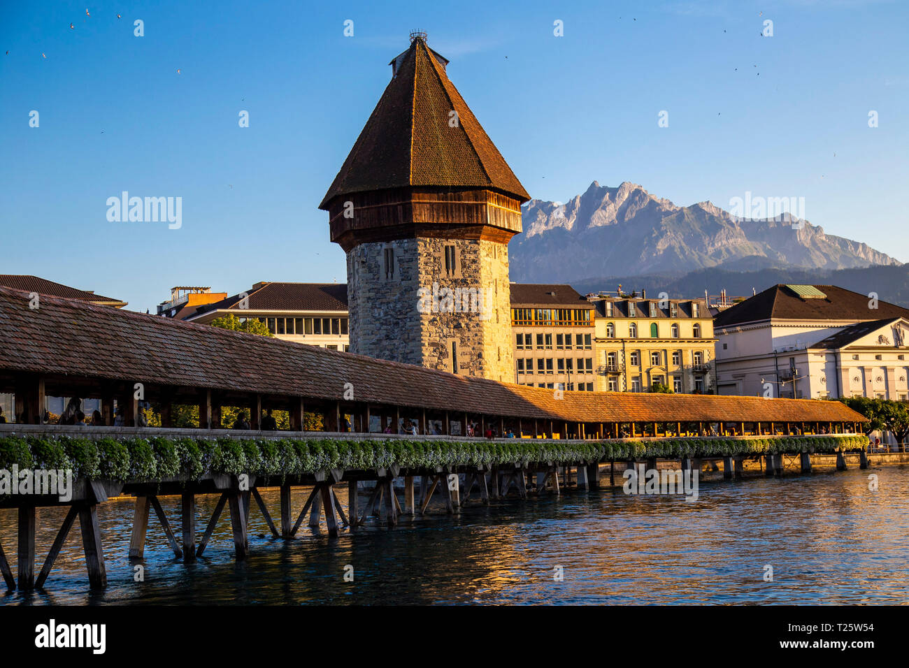 Bellissima medievale ponte di legno che attraversa il lago di Lucerna, è il più antico ponte medievale in Europa Foto Stock