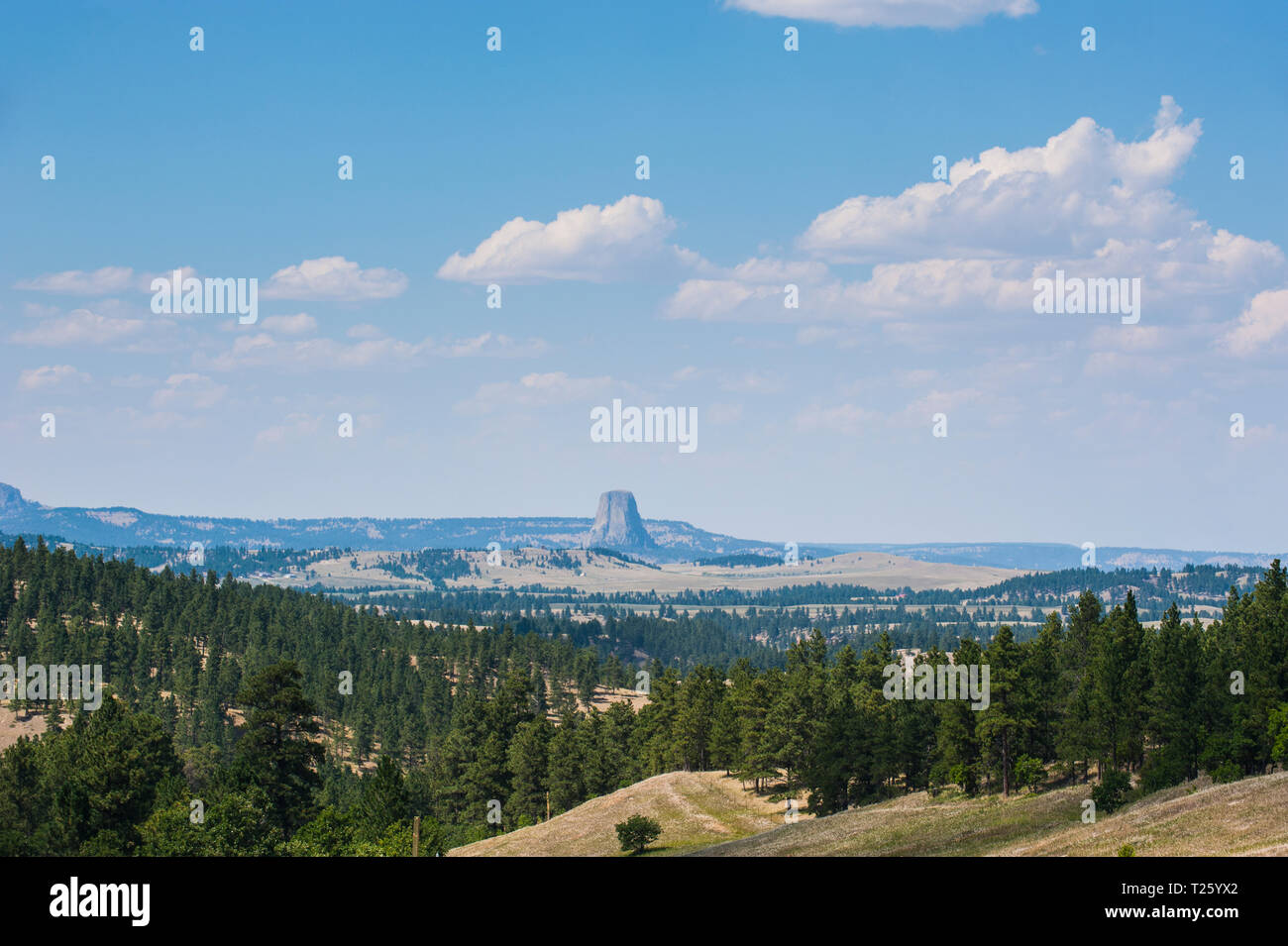 Stati Uniti d'America, Wyoming scenic con Devils Tower National Monument in background Foto Stock