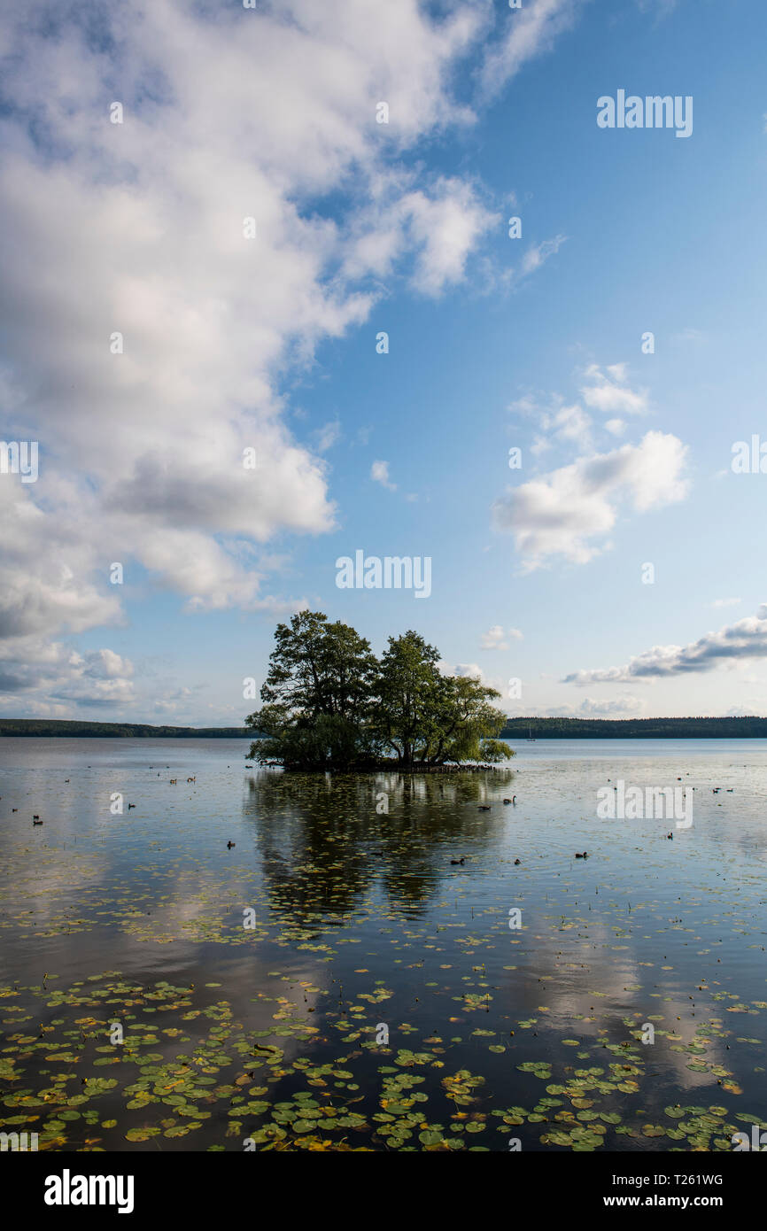 La Svezia, Sigtuna, lago Malaren, piccola isola con alberi di sera Foto Stock