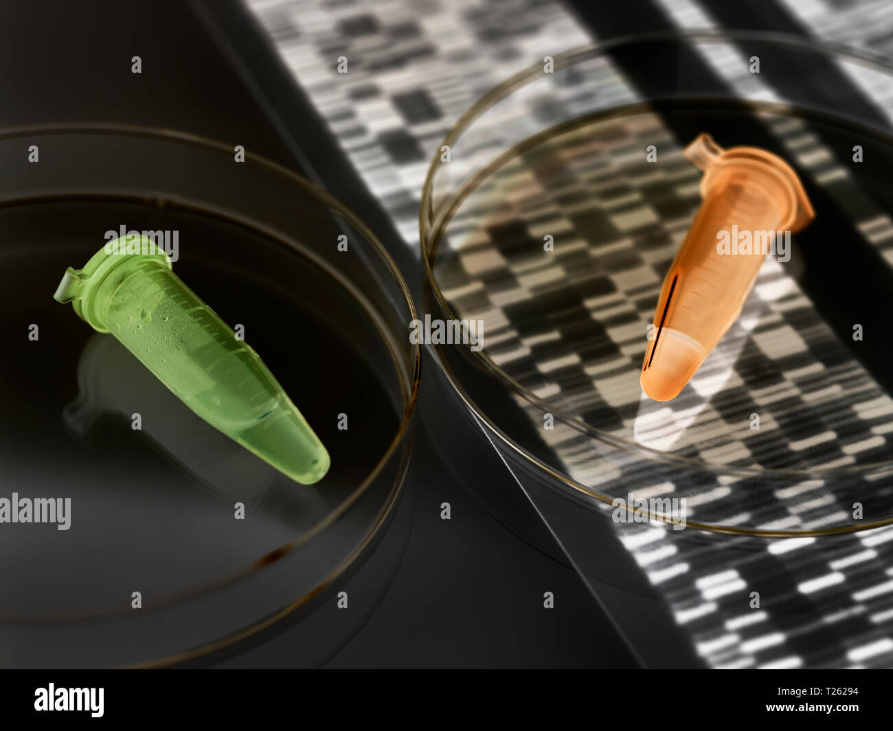 Fiale Eppendorf contenente un campione umano con il DNA autoradiogramma risultati Foto Stock