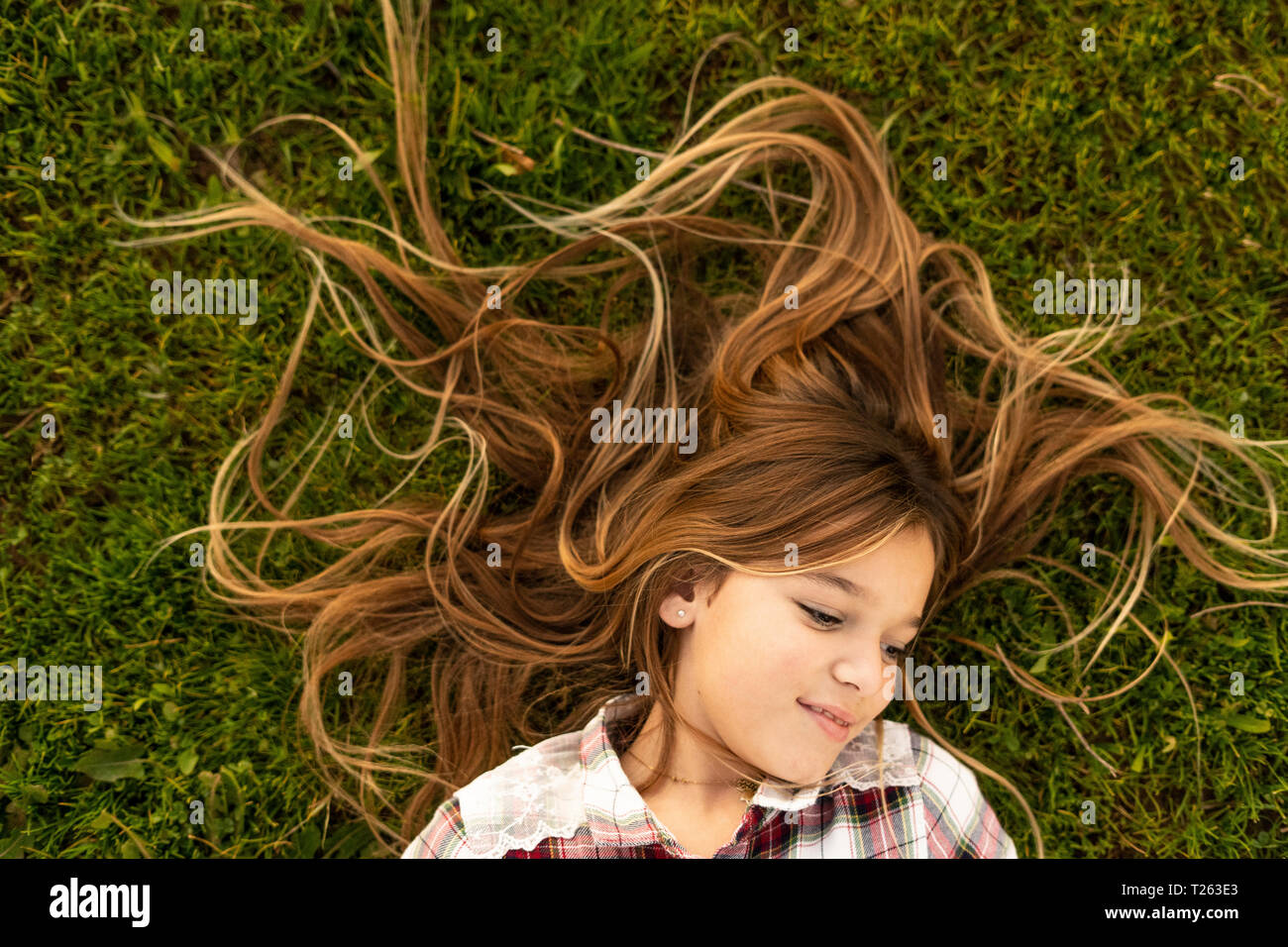 Sorridente ragazza con i capelli lunghi giacente su un prato Foto Stock