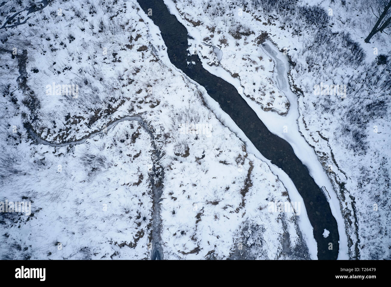 Stati Uniti d'America, Virginia, Ruscello di montagna in inverno con ghiaccio e neve in Highland county Foto Stock