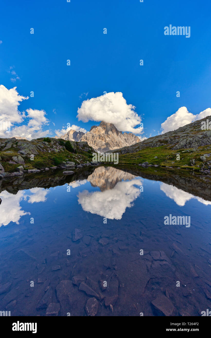 L'Italia, Veneto, Dolomiti, montagne di Fiemme, il Cimon della Pala che si riflette in un piccolo lago Foto Stock