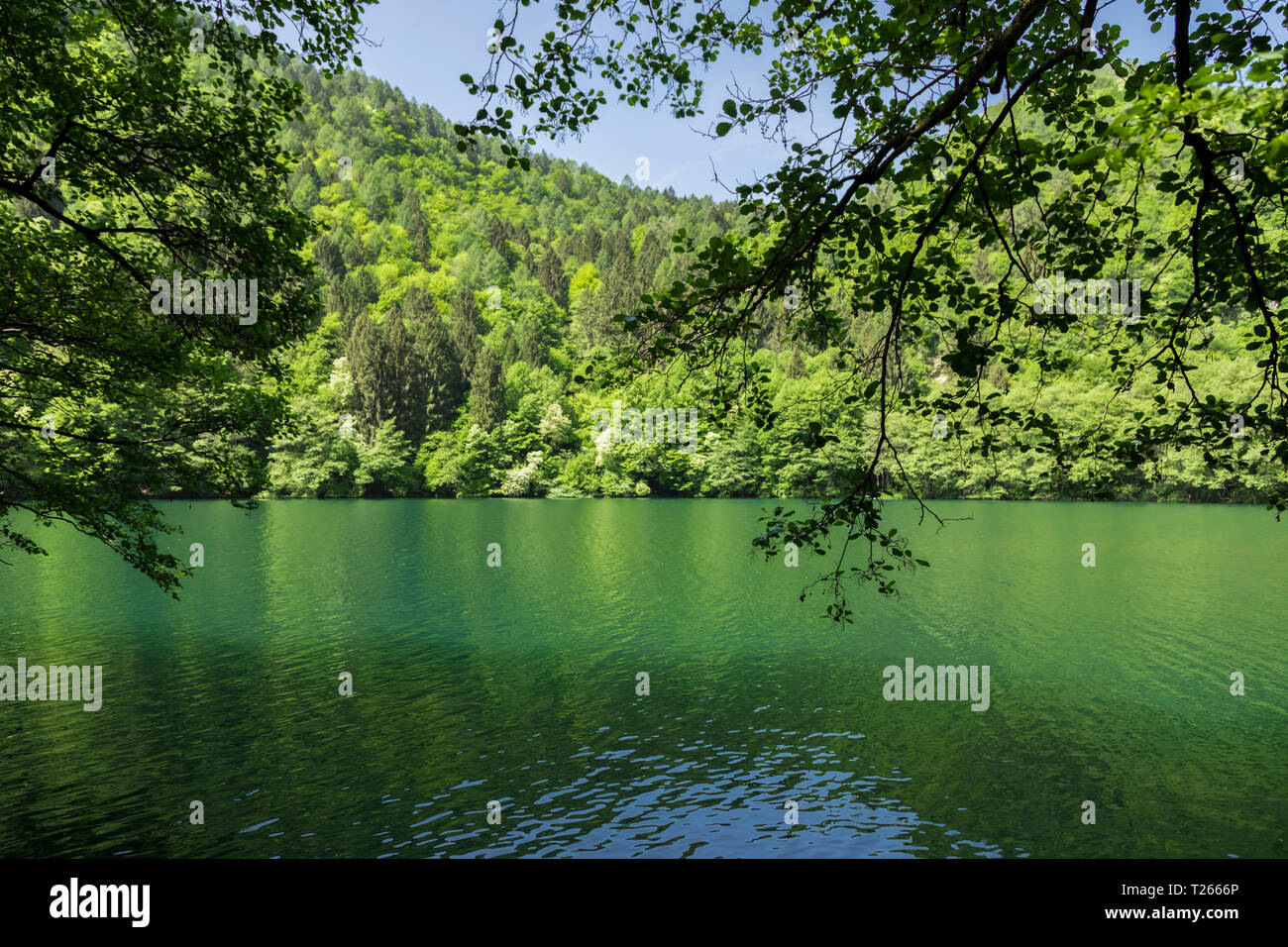 L'Italia, Trentino Alto Adige, Lago di Levico su una soleggiata giornata di primavera Foto Stock