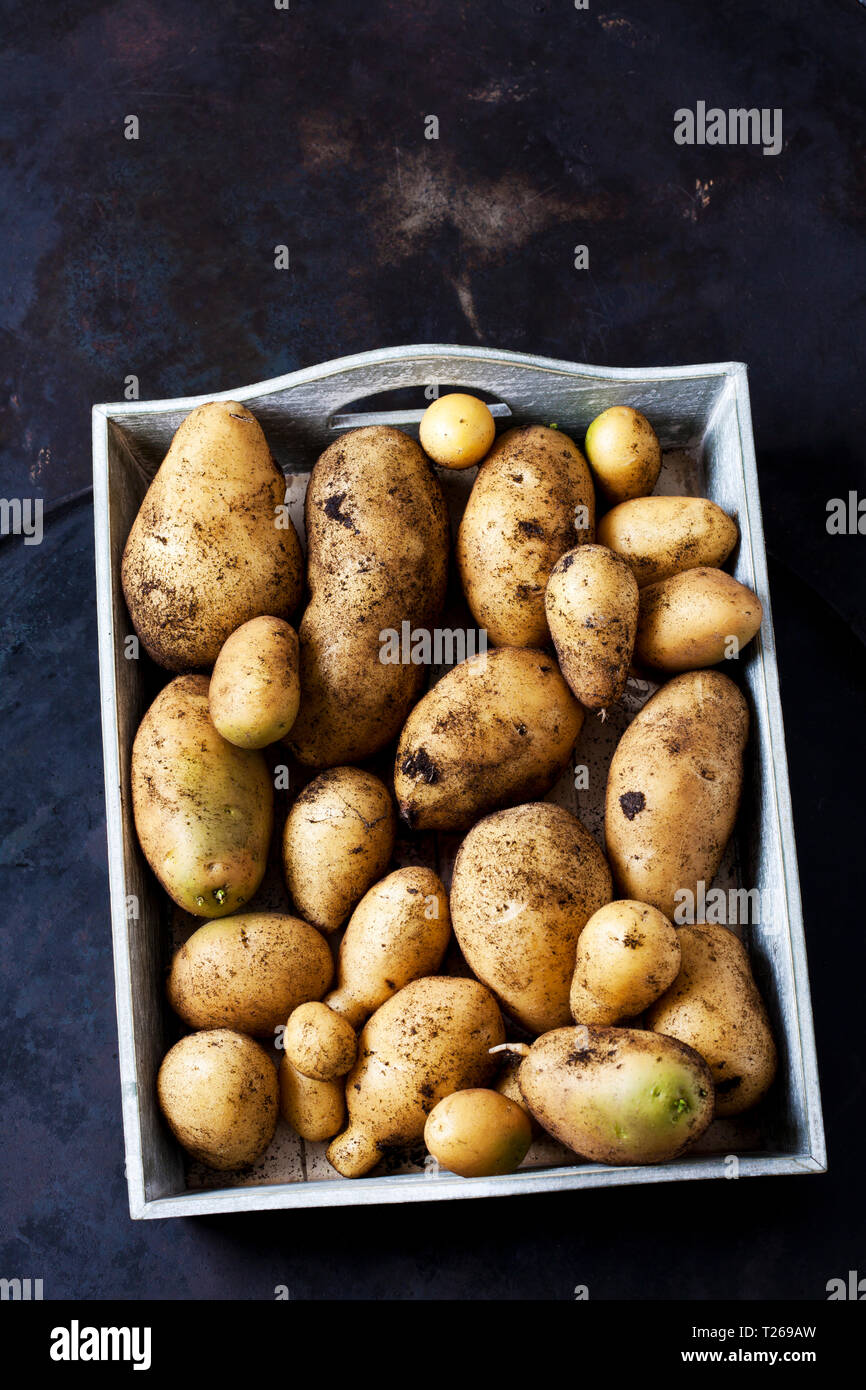 Vassoio in legno di patate di perforazione Foto Stock