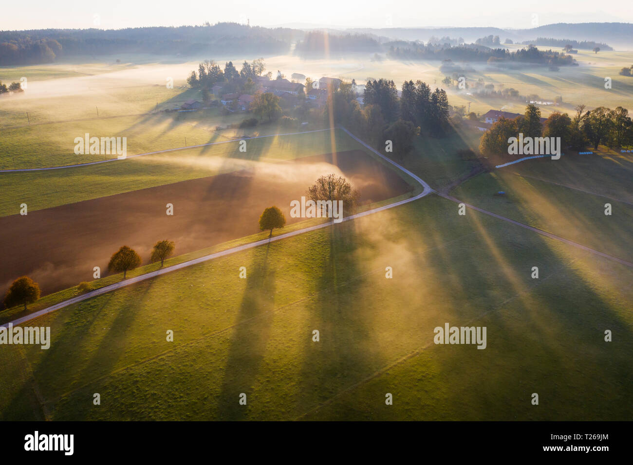 In Germania, in Baviera, Ried vicino Dietramszell, terra della nebbia di sunrise, drone visualizza Foto Stock