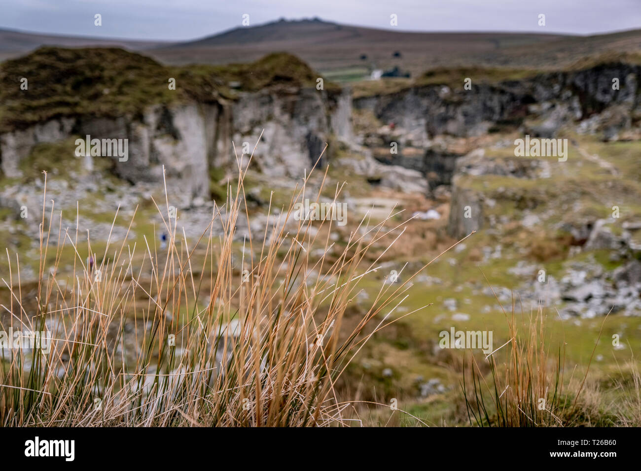 Una vista di Foggin Tor su Dartmoor Devon, Regno Unito. Foto Stock