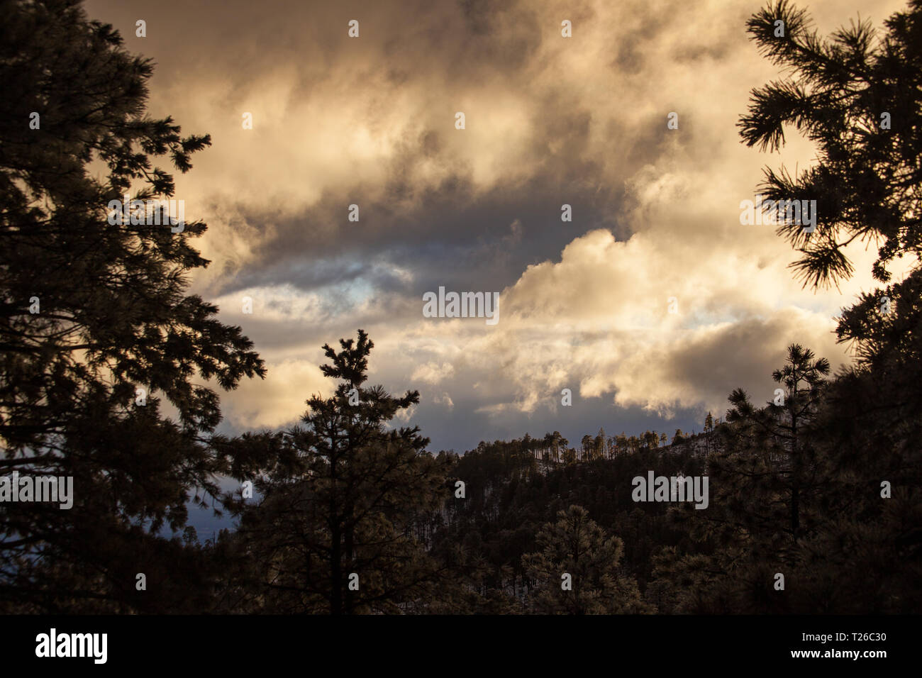 Mount Lemmon Pima County, Arizona, Stati Uniti d'America Foto Stock