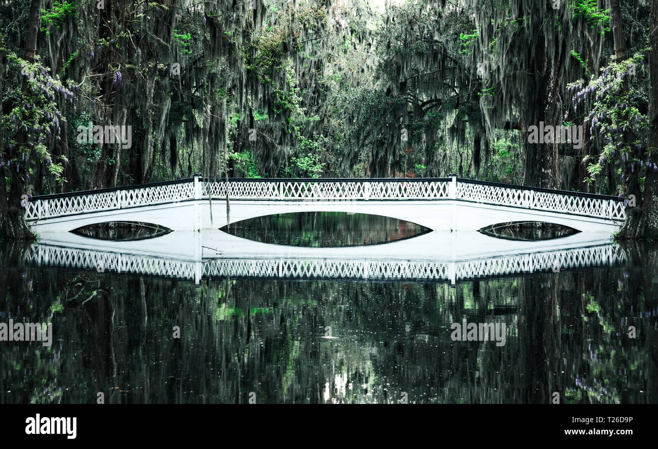 Bianco elegante ponte su un lago in una lussureggiante foresta verde Foto Stock