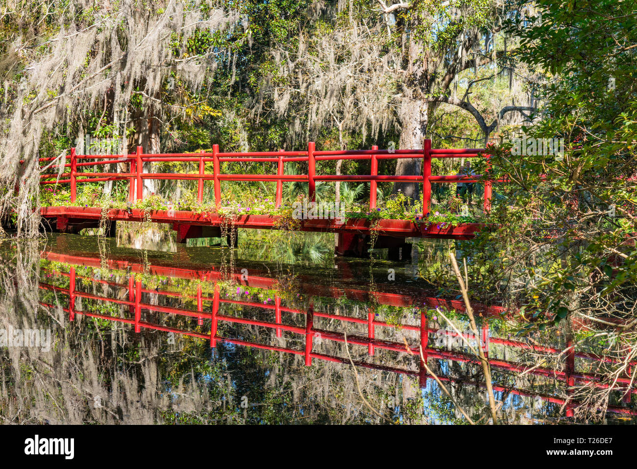 La riflessione di rosso ponte in legno sul lago in Magnolia Plantation a Charleston, Carolina del Sud Foto Stock