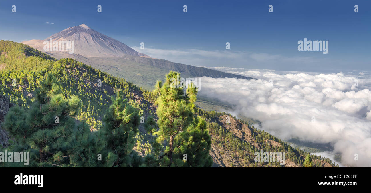 Panorama del vulcano Teide e della valle di Orotava - Vista dal Mirador La Crucita Tenerife (Isole Canarie) Foto Stock