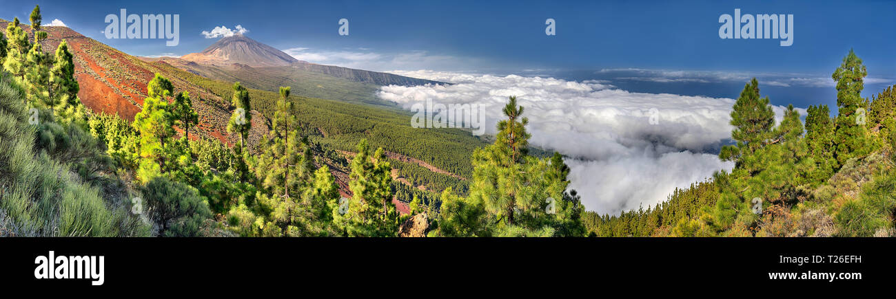 Panorama del vulcano Teide e della valle di Orotava - Vista dal Mirador de Chipeque Tenerife (Isole Canarie) Foto Stock
