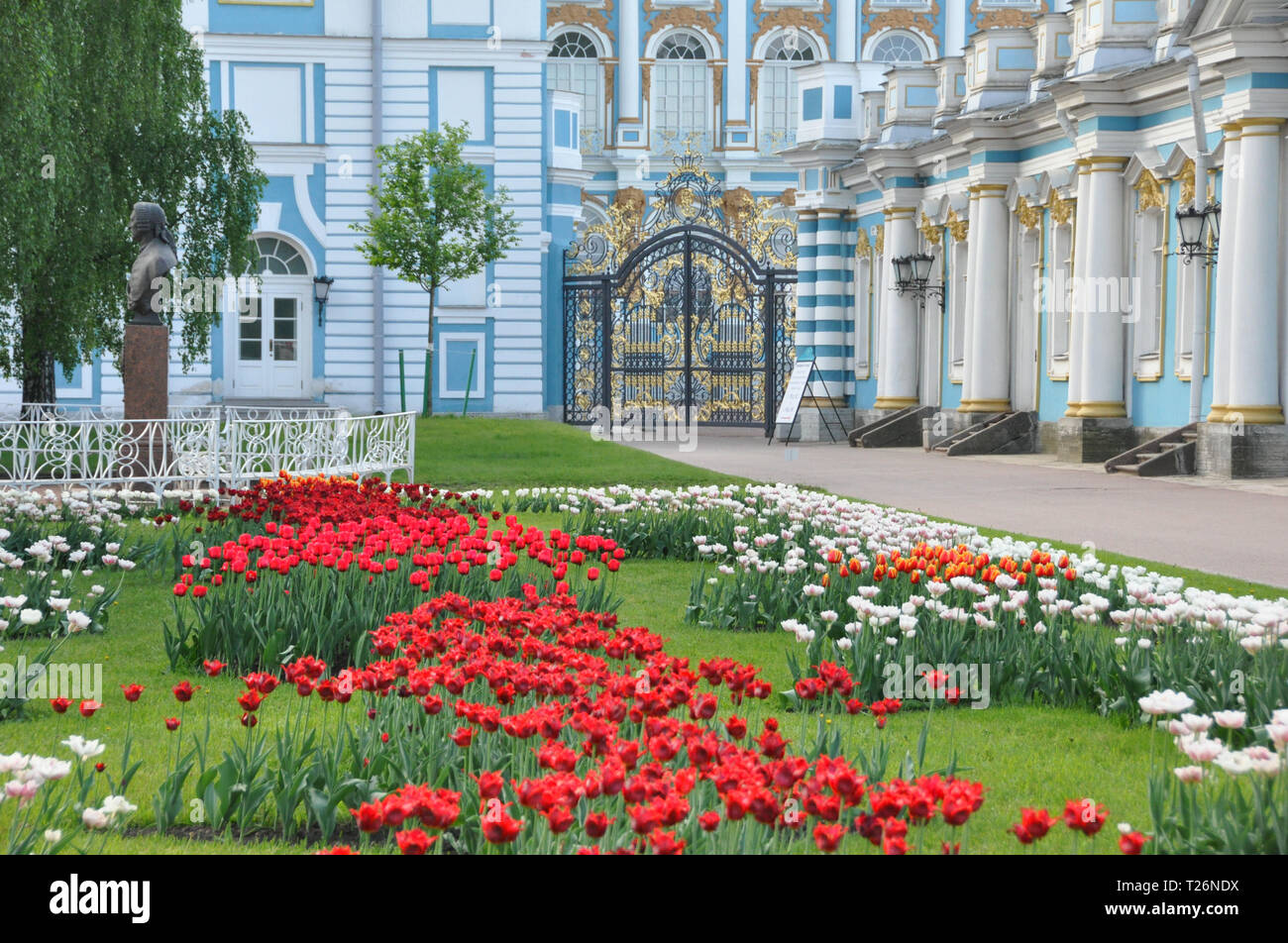 Catherine Fiori Foto Stock