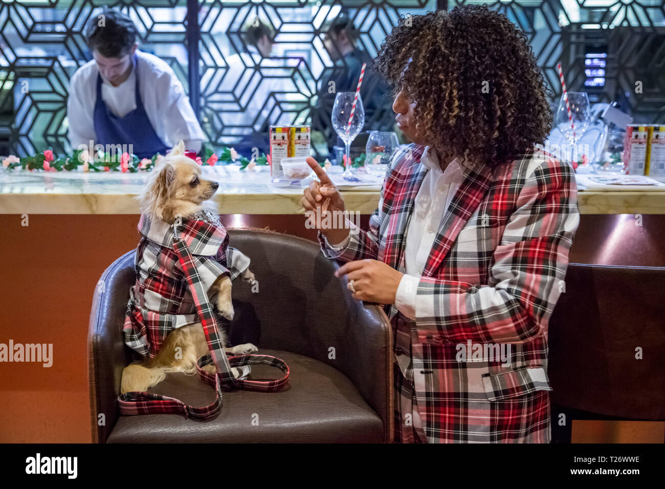 Londra, Regno Unito. Il 30 marzo, 2019. La London Fashion Dog Walk Brunch a M Ristorante a Victoria. Credito: Guy Corbishley/Alamy Live News Foto Stock