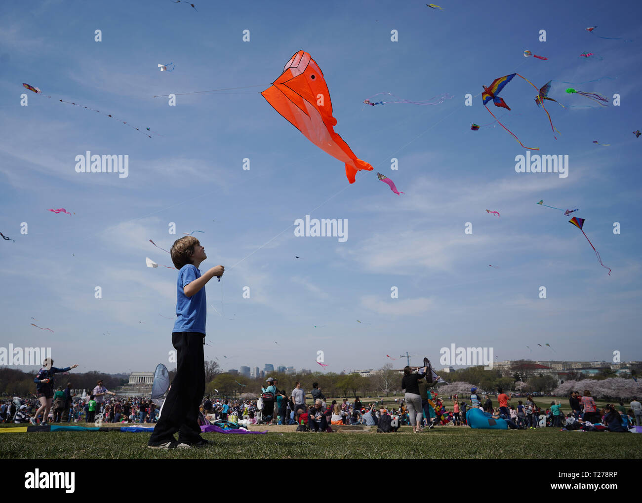 Washington, DC, Stati Uniti d'America. 30 Mar, 2019. La gente volare Kites durante la fioritura dei ciliegi Kite Festival in Washington, DC, Stati Uniti, il 30 marzo 2019. Il kite festival è uno dei più attesi eventi durante l'annuale National Cherry Blossom Festival che si terrà dal 20 marzo al 14 aprile. Credito: Liu Jie/Xinhua/Alamy Live News Foto Stock