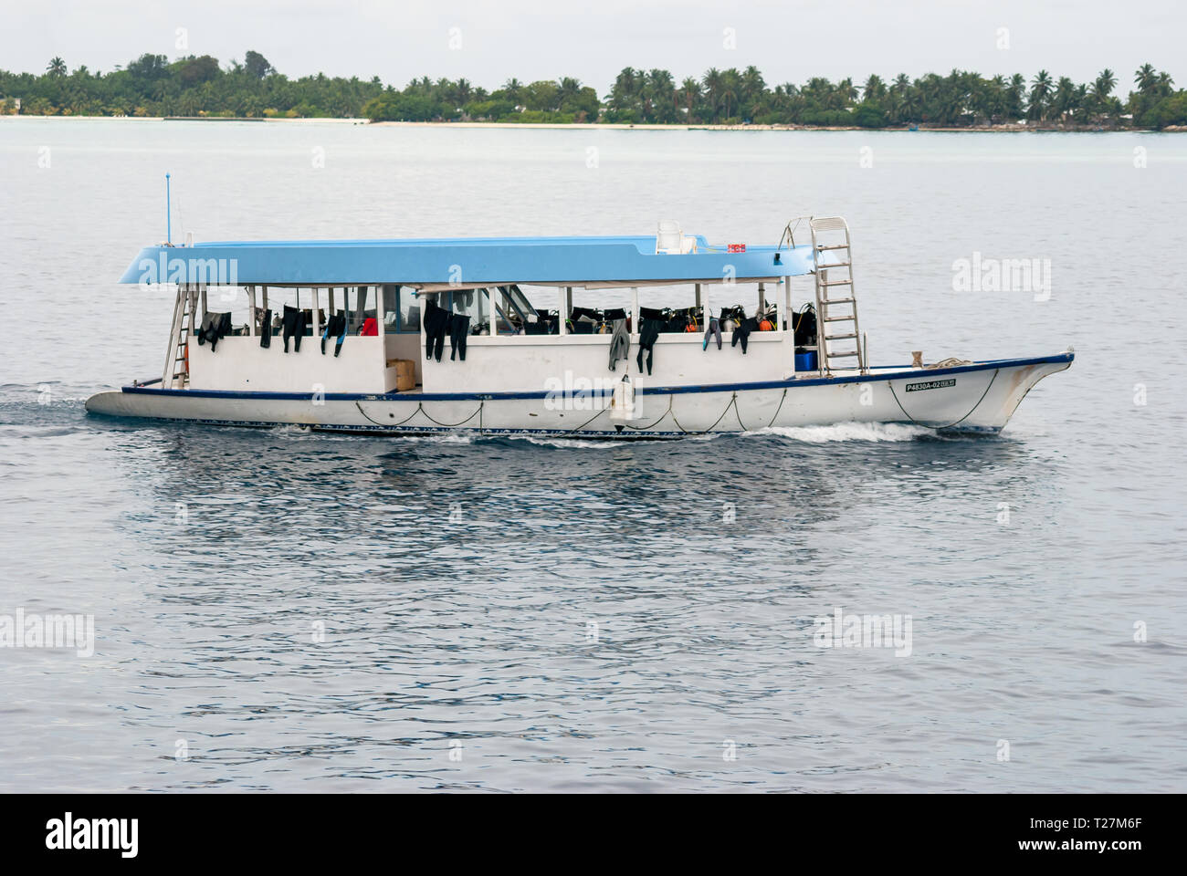 Dhoni, barca, immersioni, Maldive Foto Stock
